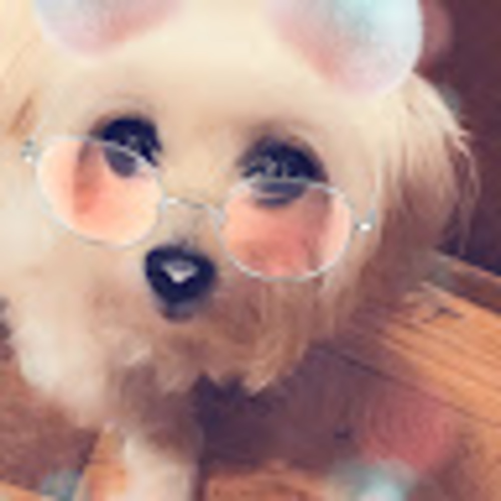 Meet your Posher, Sapphire’s